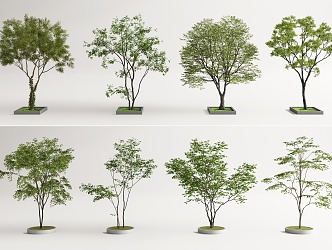 Modern tree pool landscape tree courtyard tree modeling tree cluster arbor 3d model