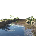 Natural Waterfront Landscape With Stream Stones Green Plants And Water Reflection