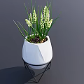 Bonsai Potted Plant In White Geometric Pot With Black Metal Stand And White Flowers