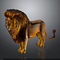 Realistic Lion with Thick Mane Standing on Gray Background Showing Reflection