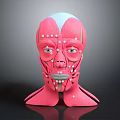 Human Head Anatomical Model With White Marking Dots And Muscle Structure Lines 3d model