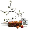 Table Ornaments Apple Glass Vase Tableware 3d model