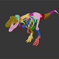 Complete Dinosaur Skeleton with Detailed Bone Structure on Black Background