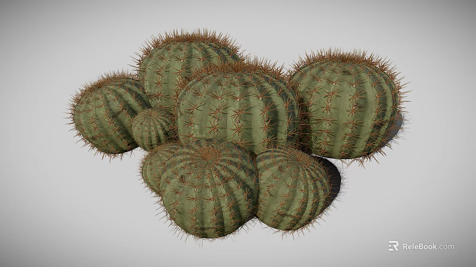 Group of Round Green Cacti with Sharp Spines on White Background 3d model 