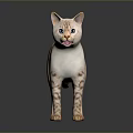 Orange and White Tabby Cat Standing on Dark Surface With Smooth Fur And Reflection 3d model
