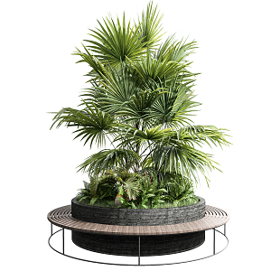 Modern tree pond green plant potted ornaments 3d model