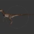 Realistic Velociraptor Dinosaur Standing With Open Mouth 3D Model On Black Background 3d model