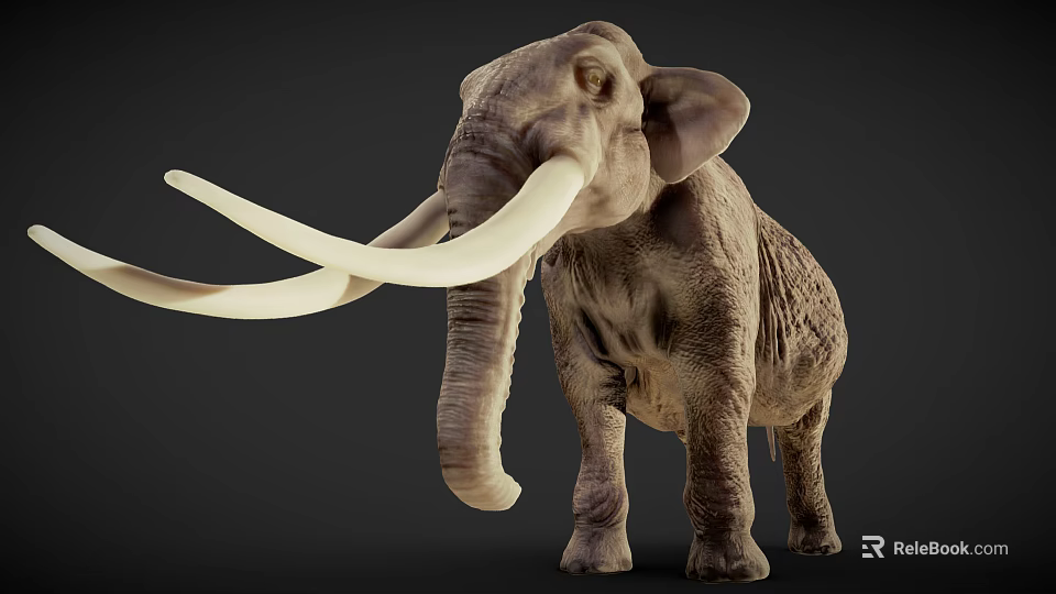 Mammoth With Long Curved Tusks And Gray Skin Standing In Dark 3d model 