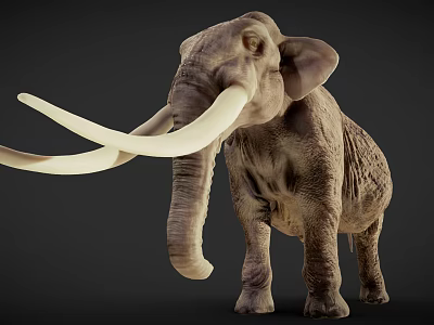 Mammoth With Long Curved Tusks And Gray Skin Standing In Dark 3d model