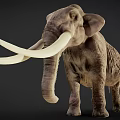 Mammoth With Long Curved Tusks And Gray Skin Standing In Dark