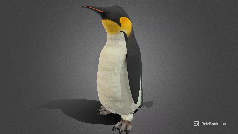 King Penguin With Black And White Feathers And Yellow Neck Standing On Gray Background 3d model 