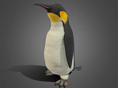 Modern Penguins 3d model