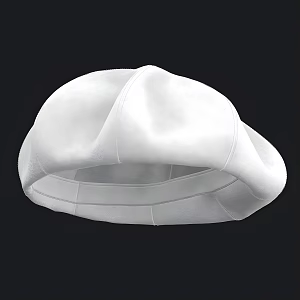 Beret white hat 3d model