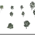 Display of Various Green Trees in Different Sizes Against Black Background