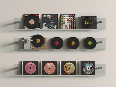 Vinyl Records and CDs on Shelves with Various Colors and Album Covers 3d model