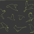 Flying Animals Silhouettes of Various Bird Species in Flying and Perching Positions