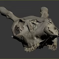 Detailed Animal Skull Organ Showing Bone Structure And Anatomical Features On Dark Background