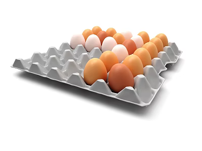 Fresh Colorful Eggs in Paper Egg Carton with White Brown and Tan Shells 3d model