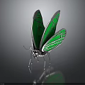 Green Transparent Winged Butterfly With Metallic Silver Body And Reflection On Dark Background