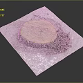Rustic Wooden Stump Featured on Stone Surface with Small Green Plants