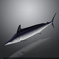 Blue And White Swordfish With Streamlined Body Long Bill And Dorsal Fin