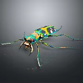 Vibrant Colorful Insect With Green Blue Yellow Patterns And Long Legs On Dark Background
