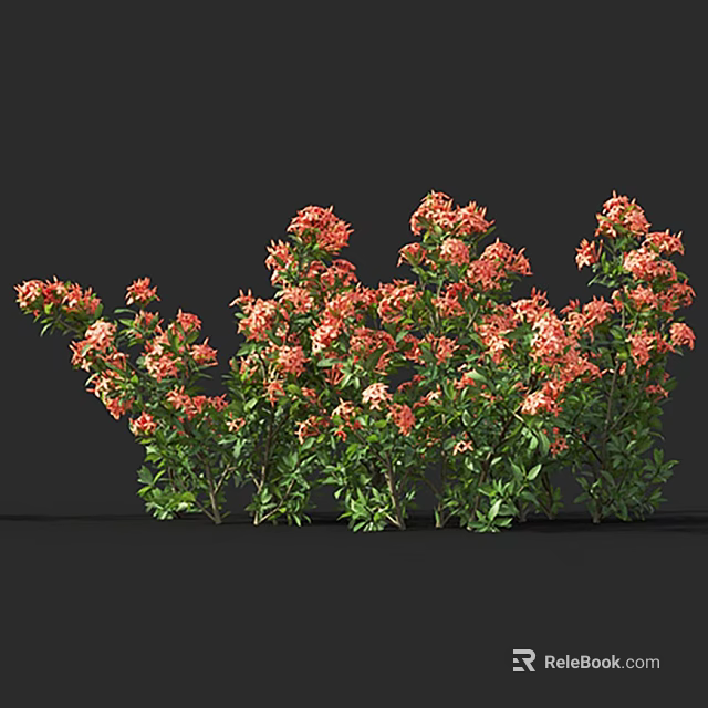 Vibrant Blooming Orange Flowers With Lush Green Leaves In Garden Bush 3d model 