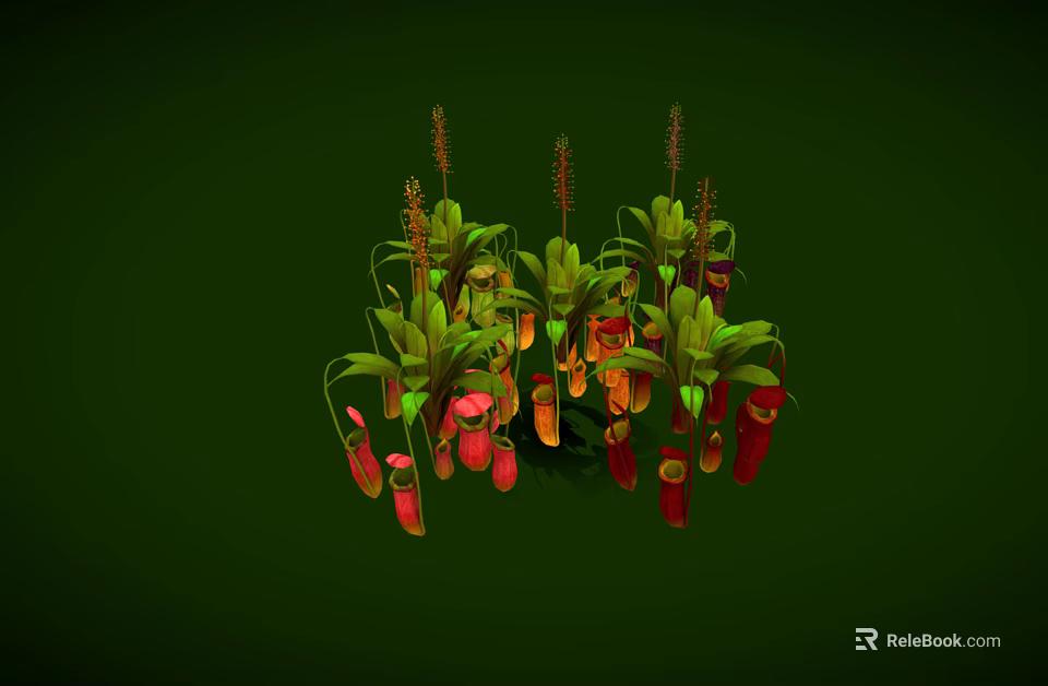 Insects Inside Nepenthes Pitcher Plants With Green Leaves And Red Orange Traps On Green Background 3d model 