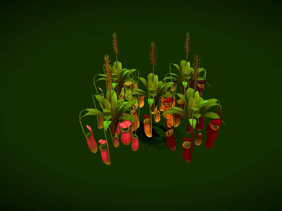 Insects Inside Nepenthes Pitcher Plants With Green Leaves And Red Orange Traps On Green Background 3d model