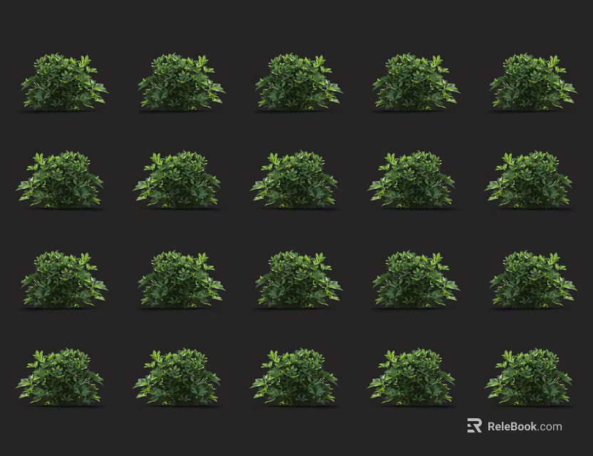 Various Green Leafy Shrub Varieties Arranged in Rows for Garden Landscaping 3d model