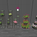 Bonsai Potted Plants On Decorative Shelves With Colorful Flowers And Greenery