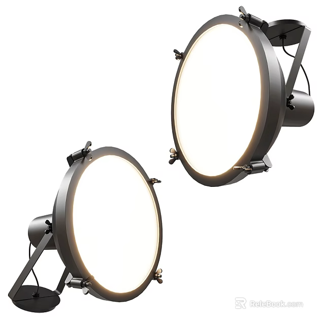 Modern Circular Wall Mounted Lights With Metal Frame And Illuminating Design 3d model 