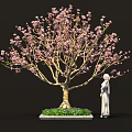 Elegant Bonsai Tree With Pink Flowers Green Grass And Purple Small Flowers