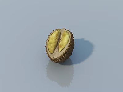 Halved Durian Fruit With Yellow Flesh On Light Background Surface 3d model