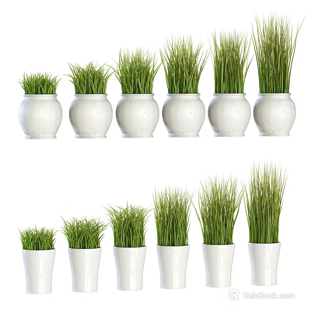 Potted Plants With Green Grass In White Pots And Varied Sizes 3d model 
