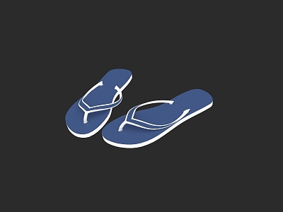 Flip Flops 3d model