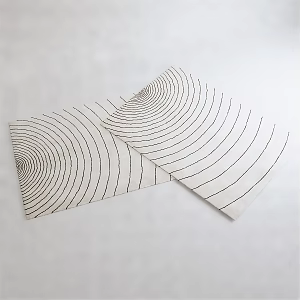 Modern Square Carpet 3d model