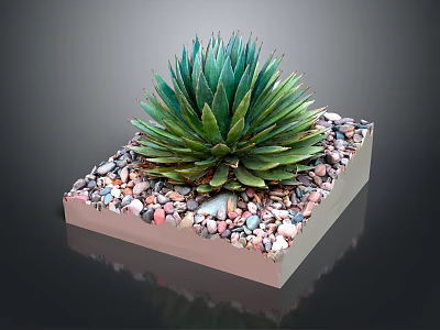 Healthy Green Agave Plant In Square Container With Colorful Pebbles Around Base 3d model