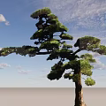 Unique Shaped Pine Tree With Curved Branches And Lush Green Needles 3d model