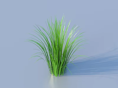 Lush Green Grass With Slender Leaves And Vibrant Fresh Appearance For Decoration 3d model