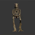 Dinosaur Skeleton Display of Prehistoric Creature with Anatomical Structure Details