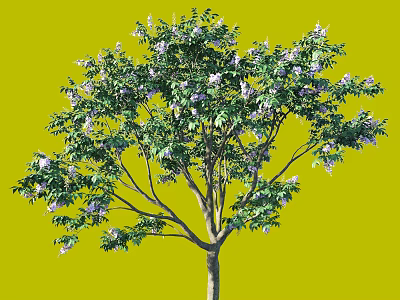 Flowering Arbor With Green Foliage And Purple Blossoms On Brown Trunk 3d model