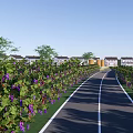Scenic Country Road Lined with Grape Vines Bearing Purple Grapes and Distant Yurt Shaped Building
