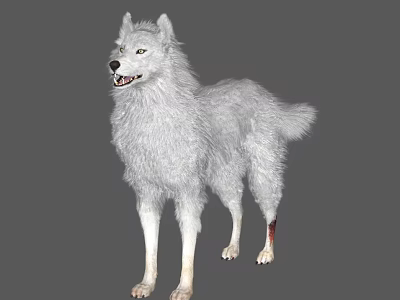 White Reptile With Blood Stain On Leg In Studio Environment 3d model