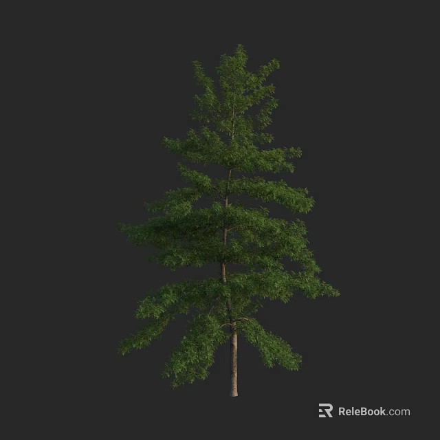 Tall Green Arbor With Lush Foliage And Straight Brown Trunk 3d model 