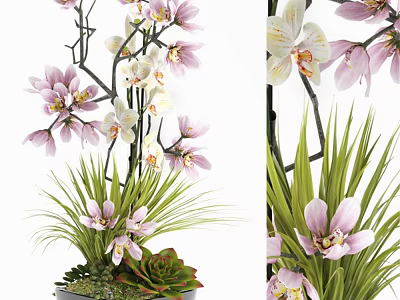 Decorative Potted Orchid Plant With Pink And White Flowers And Green Leaves 3d model