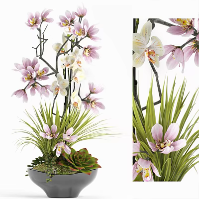 Decorative Potted Orchid Plant With Pink And White Flowers And Green Leaves 3d model