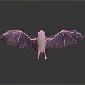 Bat With Spread Black Wings Light Colored Body And Red Head On Dark Background