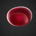 Blood Collection Area Featuring Red Blood Cell Sample For Laboratory Analysis