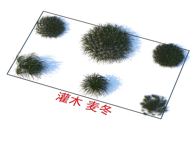 Lush Green Mondo Grass Shrubs with Various Round Forms for Garden Landscaping 3d model